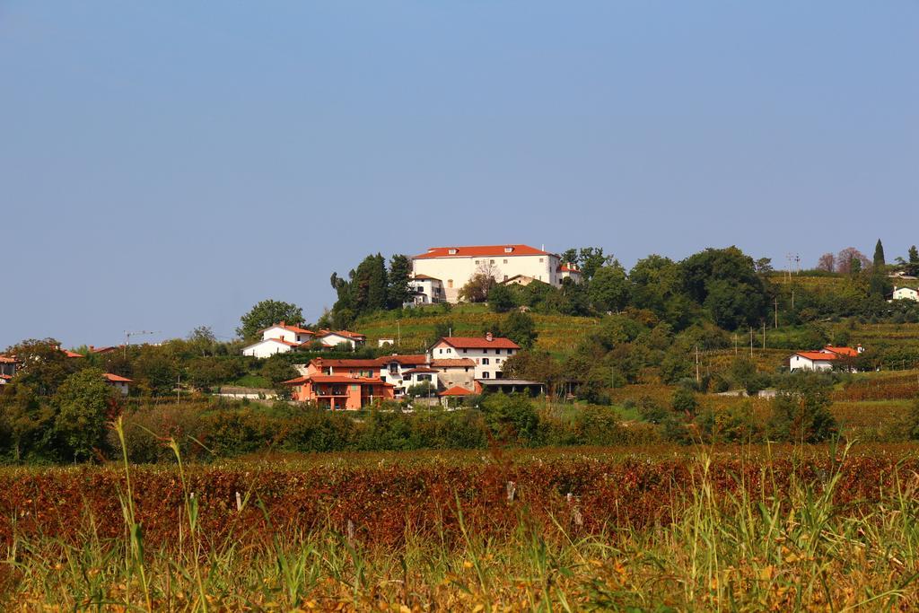 Zoi Apartman