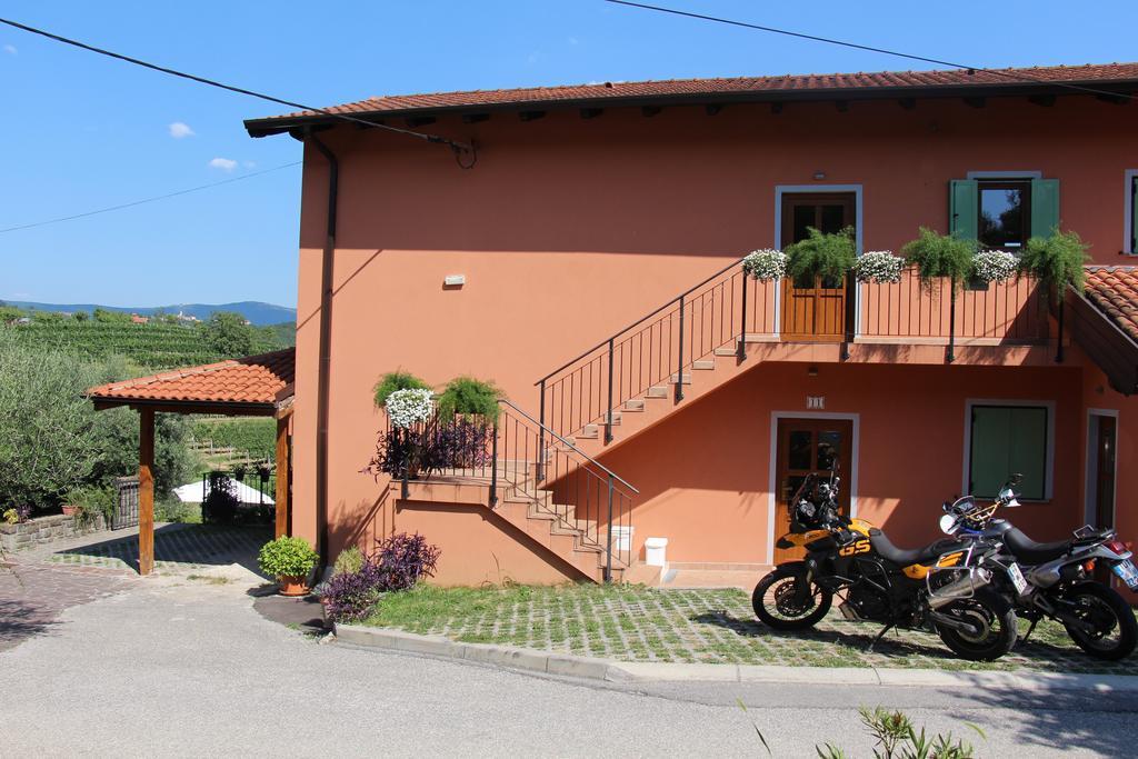 Apartment Zoi