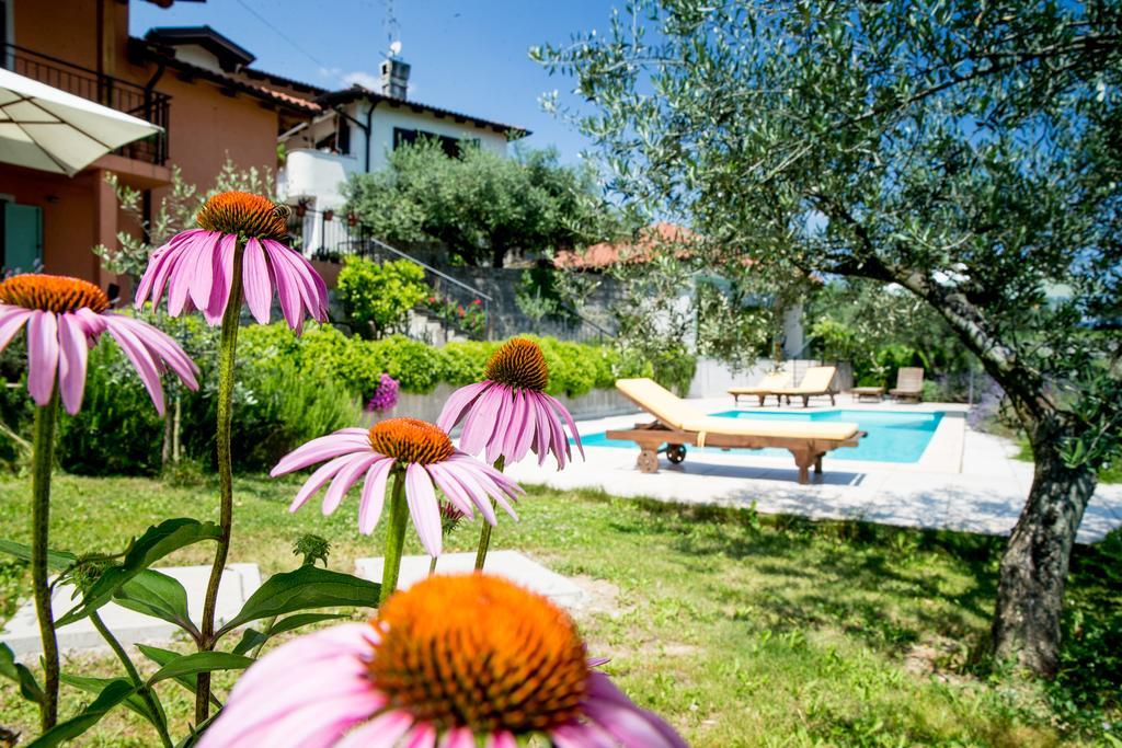 Apartman Zoi
